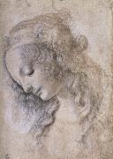 LEONARDO da Vinci Woman portrait USA oil painting reproduction